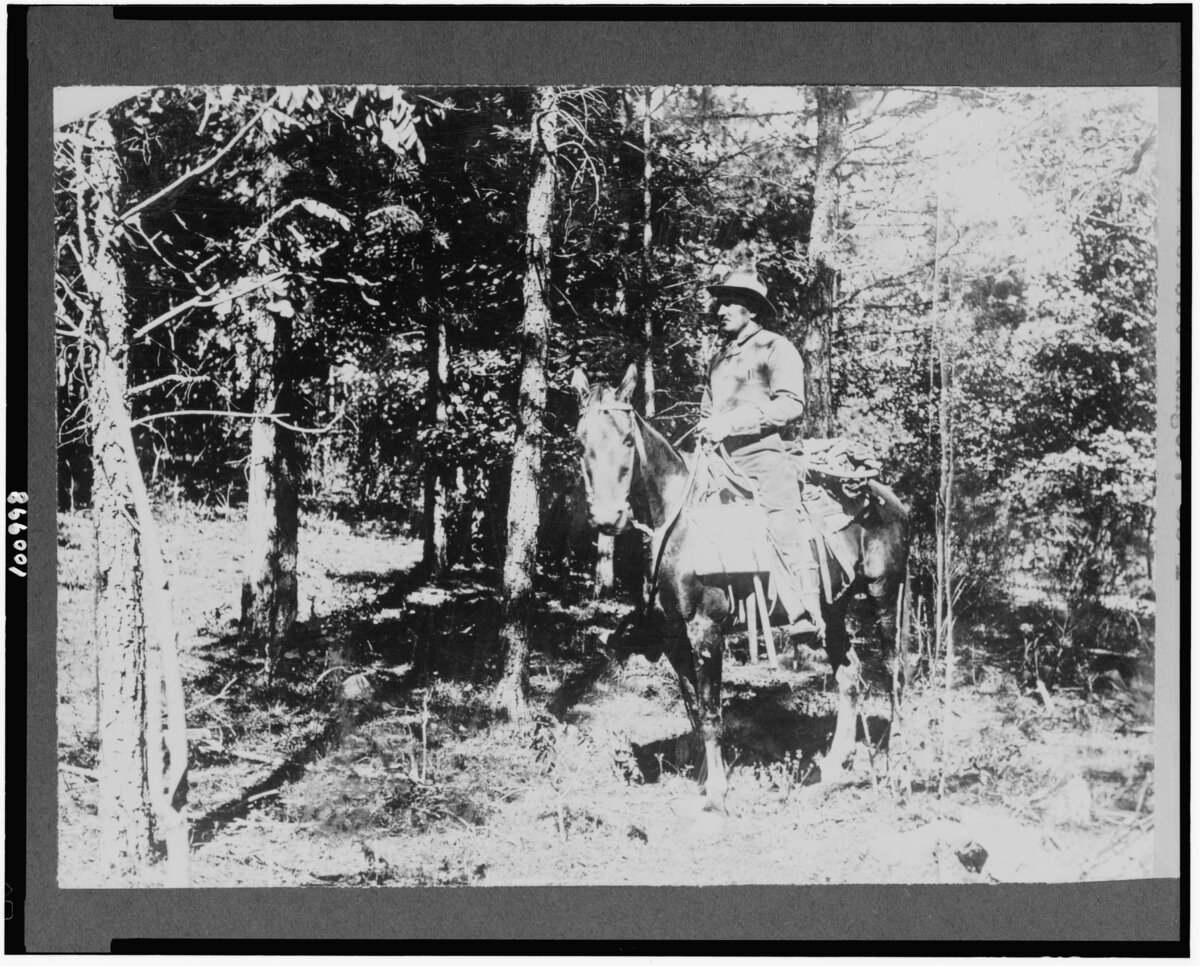Game warden or forest ranger on horseback patrolling woodland for hunting law enforcement